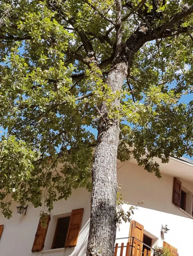 Villa Le Querce Gaggio Montano 0*,  Italy
